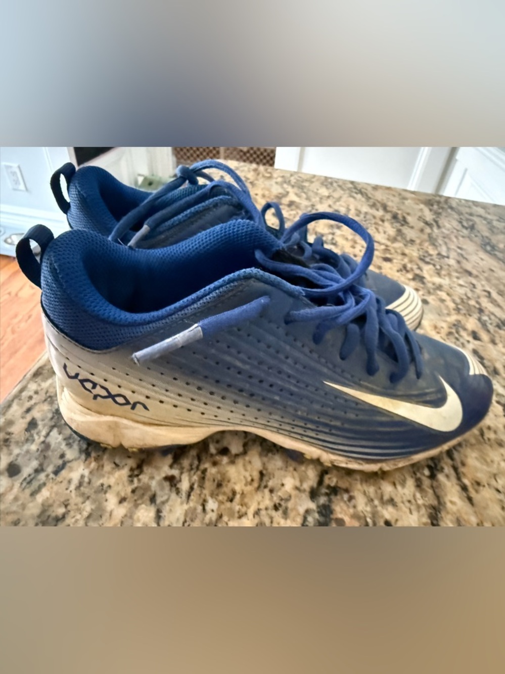 Nike Blue and White Athletic Sneakers